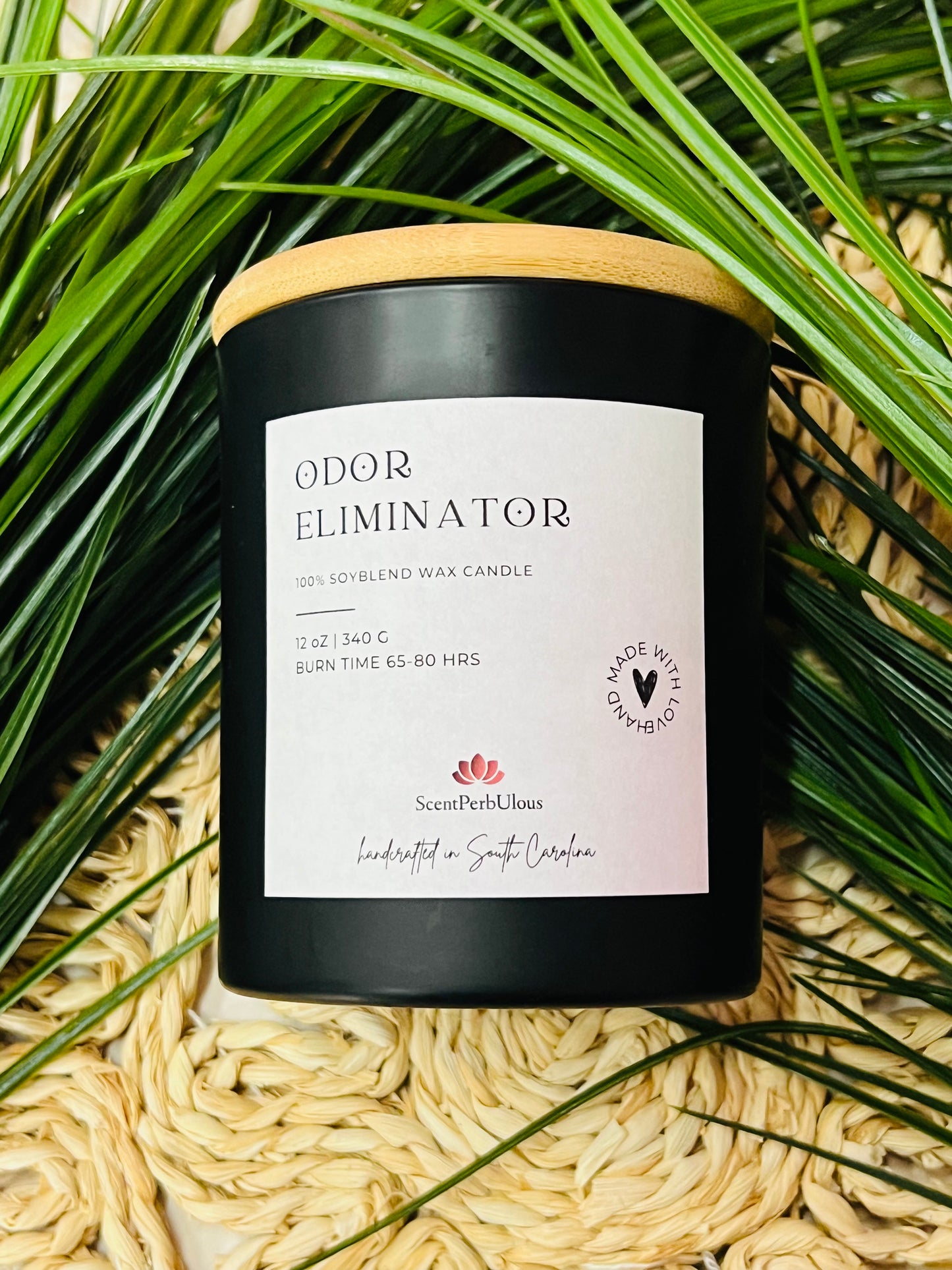 Odor Eliminator