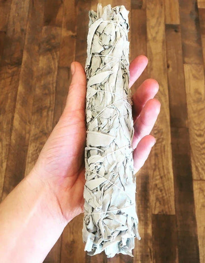 Jumbo White Sage Smudge Stick | 9 Inch | Rooted Phoenix Spiritual