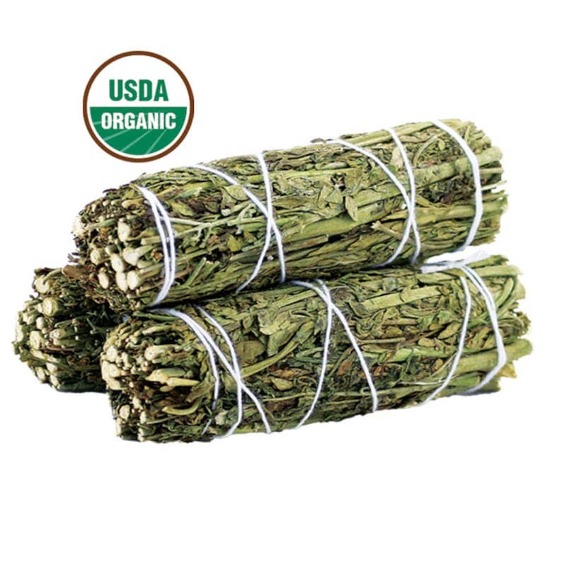 Ruda Rue Sage Smudge Stick for Protection | 4 Inch | Rooted Phoenix Spiritual