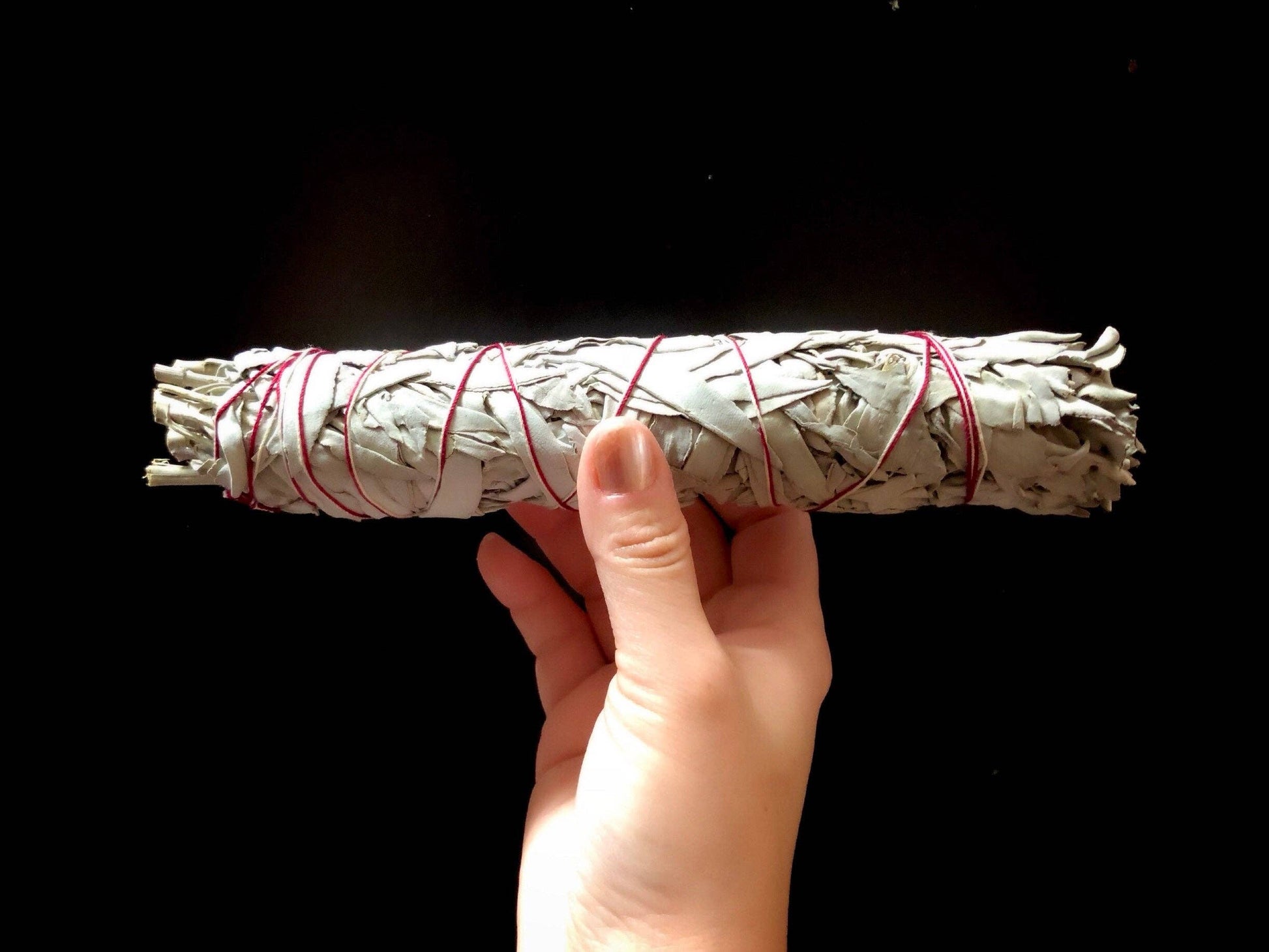 Jumbo White Sage Smudge Stick | 9 Inch | Rooted Phoenix Spiritual