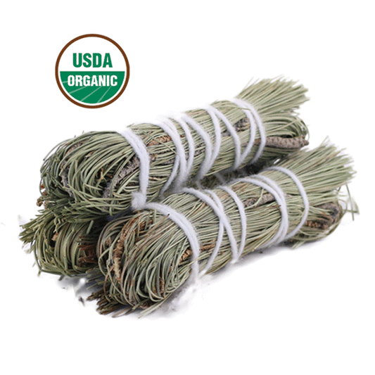 Pine Smudge Stick for Cleansing Rituals | 4 Inch | Rooted Phoenix Spiritual