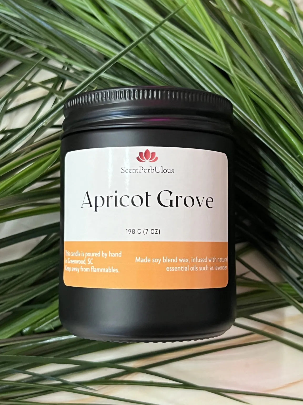 Apricot Grove